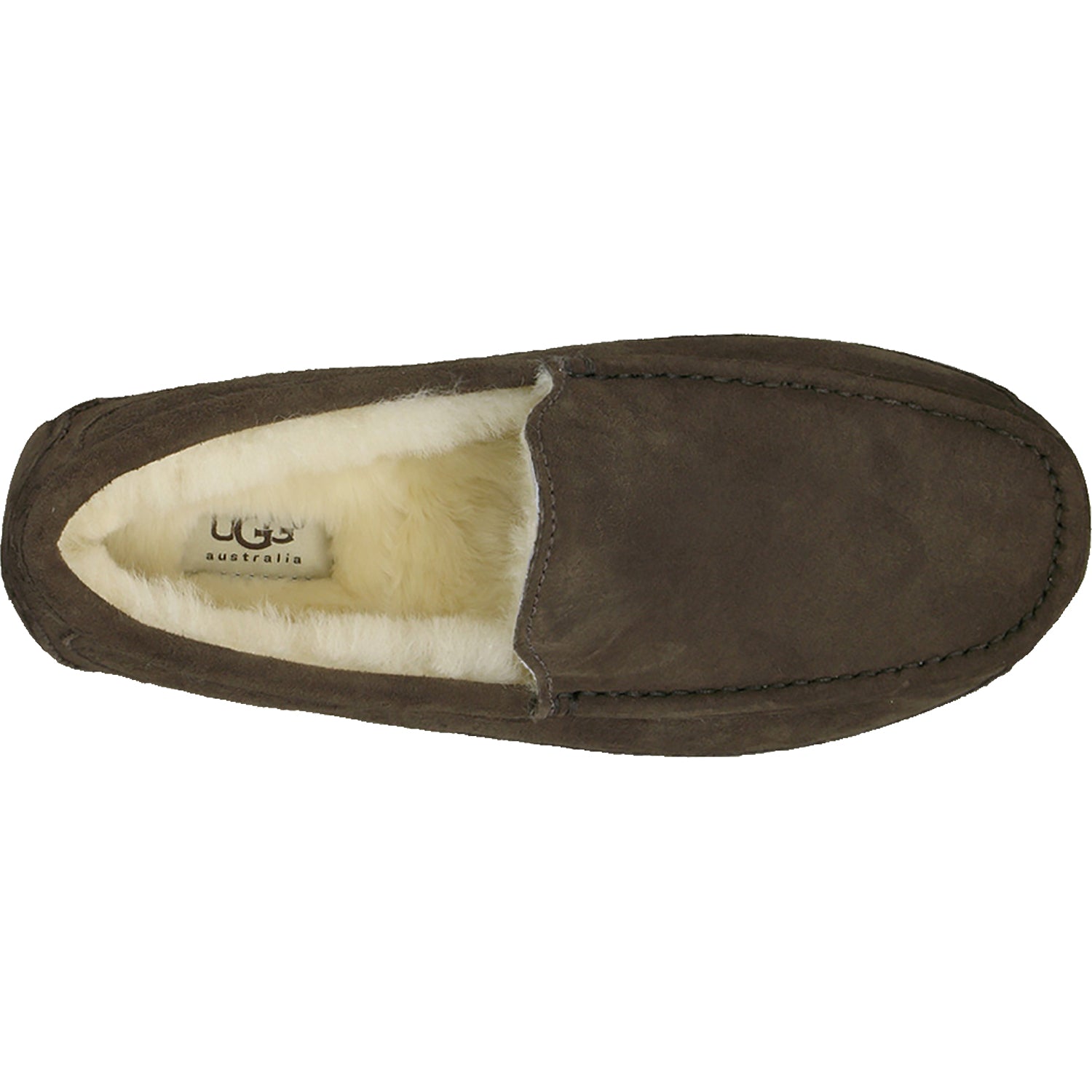 Mens Ugg UGG Ascot Men's Slippers Espresso Suede Espresso Suede