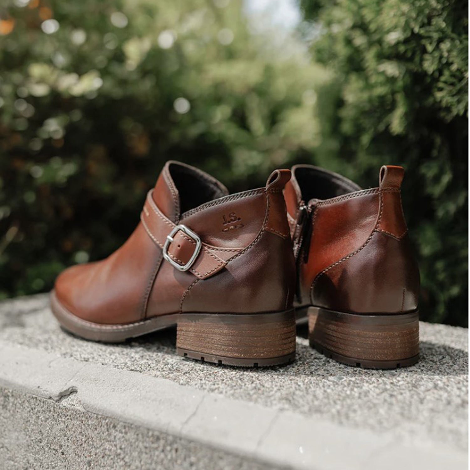 Women's Josef Seibel Kate 10 Castagne/Cognac Leather – Footwear etc.