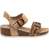 Womens Ara shoes Women's Ara Shoes Nova Leopard/Whiskey Metallic Leopard/Whiskey Metallic