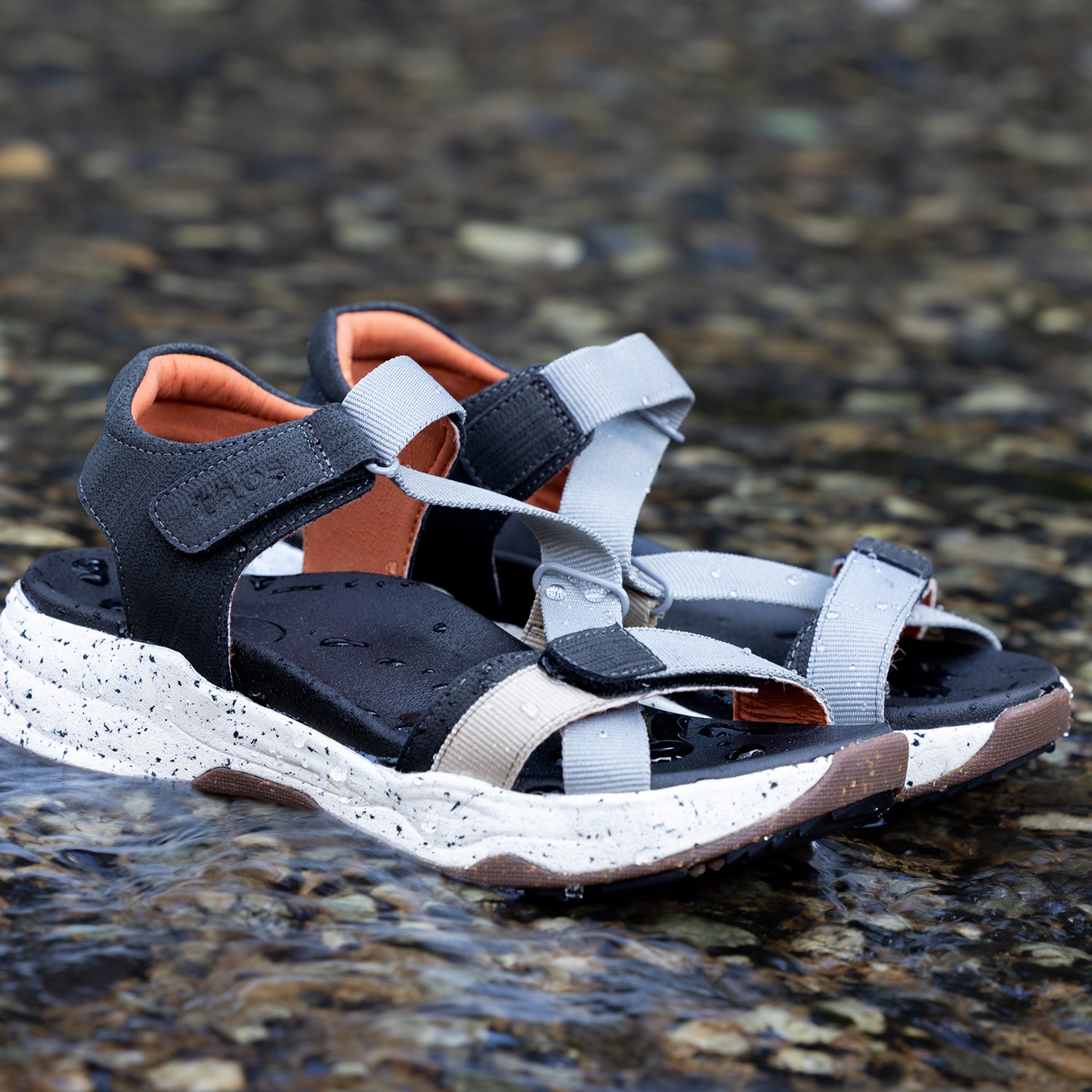 Womens Taos Taos Super Z Women's Outdoor Sandals Grey Multi Grey Multi