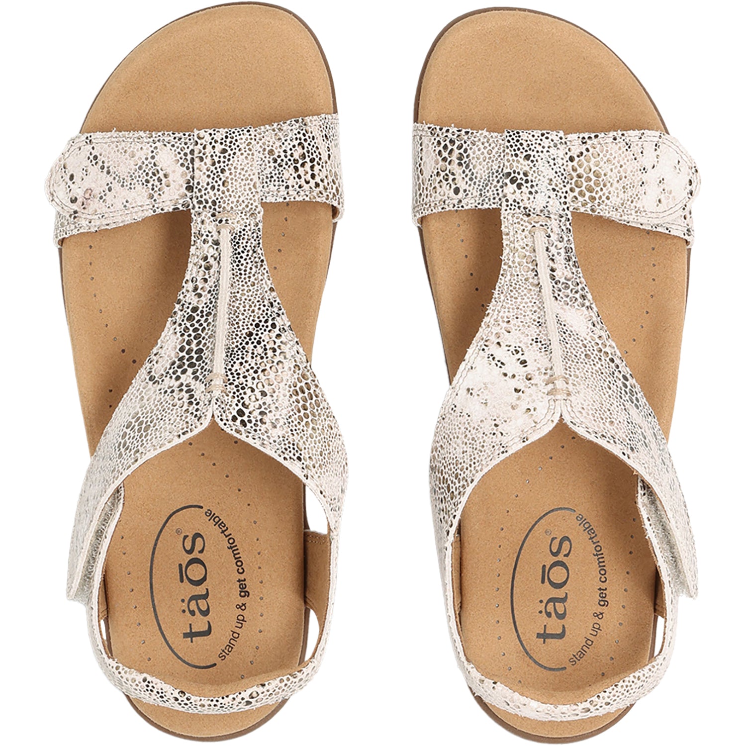 Womens Taos Taos The Show Women's Sandals Brown Snake Brown Snake