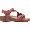Womens Taos Taos Trulie Women's Sandals Pink Pink