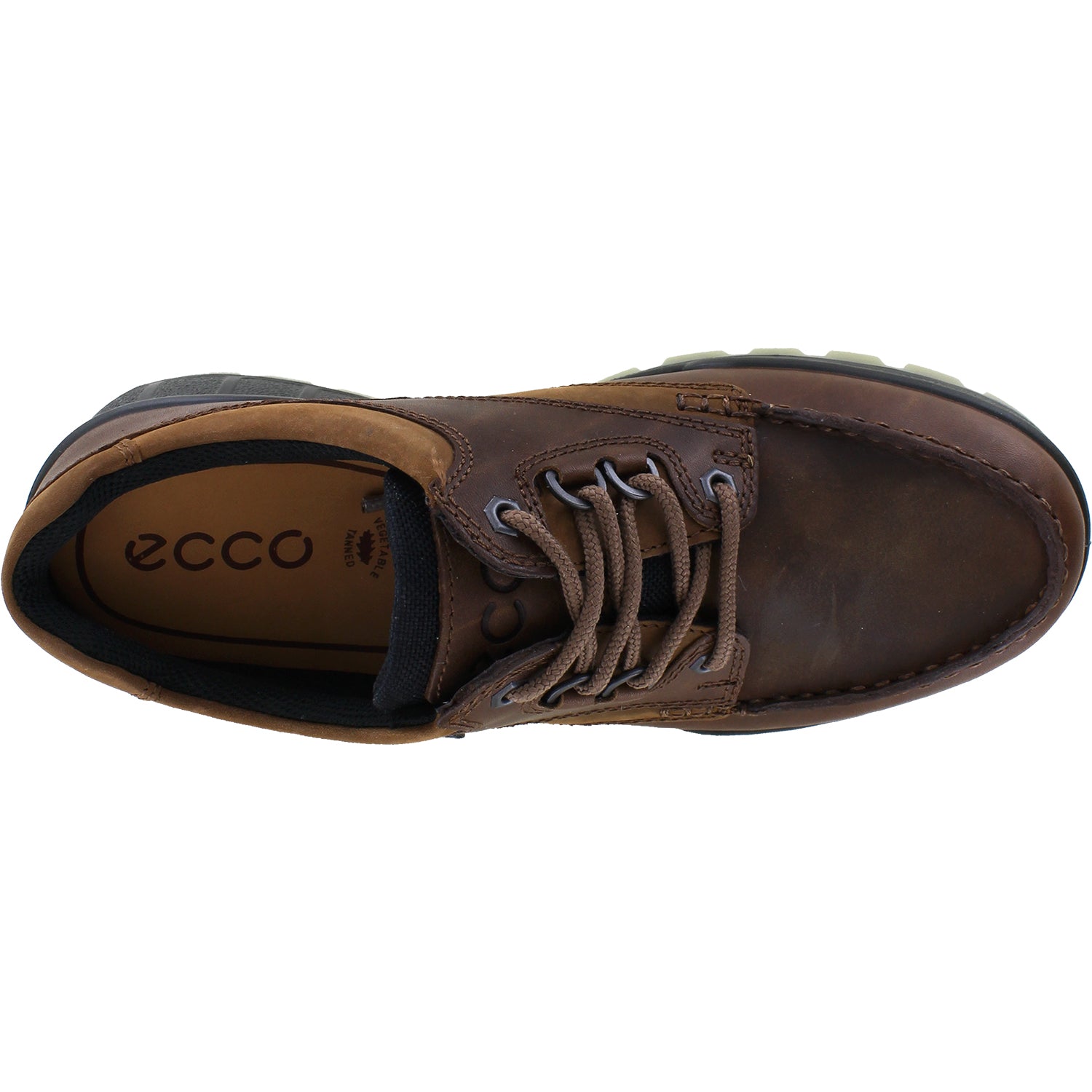 Ecco Track 25 Low GTX Bison | Men's Hiking Waterproof Shoes – Footwear etc.